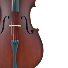 Bowed Instrument Strings