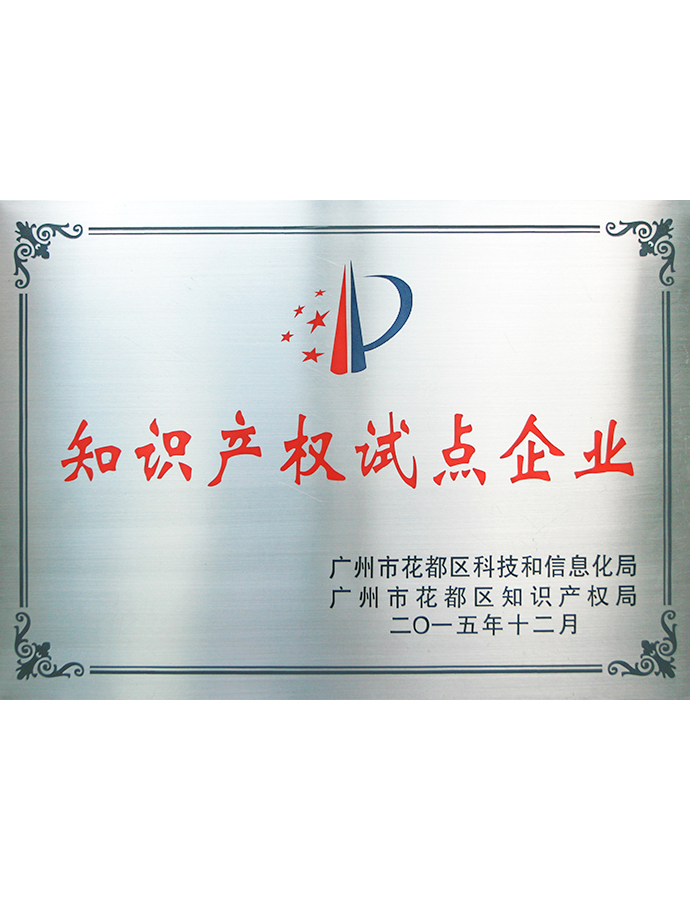 Pilot Enterprise for Intellectual Property Regulations, Huadu District