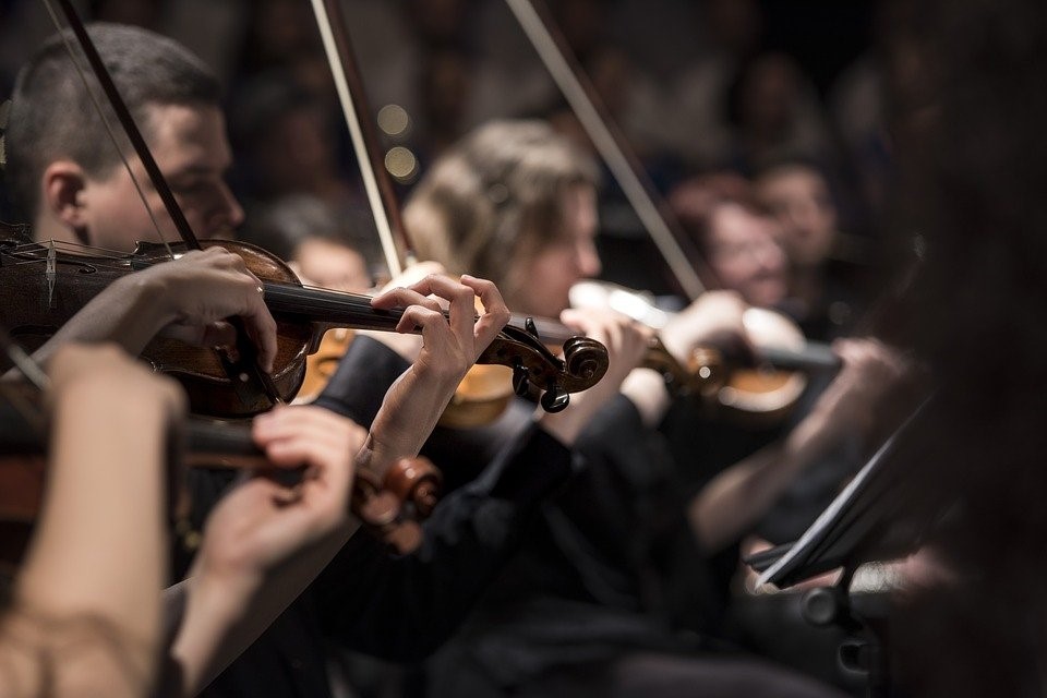 Nylon Vs. Steel Core: How to Choose One from Different Types of Violin Strings?