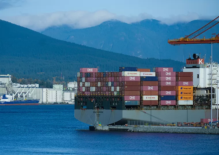 Musical Instrument Accessories Worldwide Export