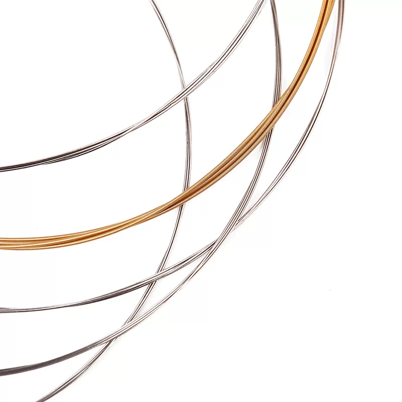 Banjo-strings-AJ04-800x800-4